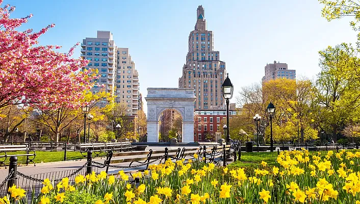 Rented by Compass | media 11