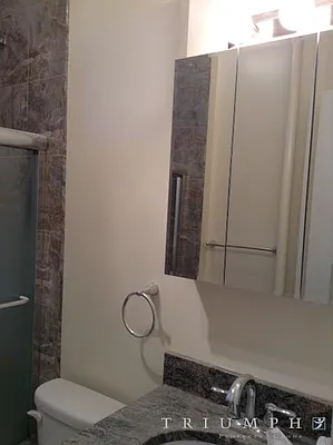 Rented by Triumph Property Group | media 7