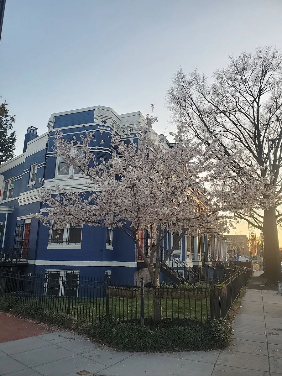 Building Photo - 1708 5th St NW #B