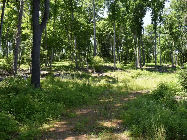 Lot 13 Lovejoy Pond Road, Wayne, ME 04284