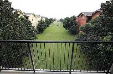 126 Vista Verdi Cir #336 — Photo 4