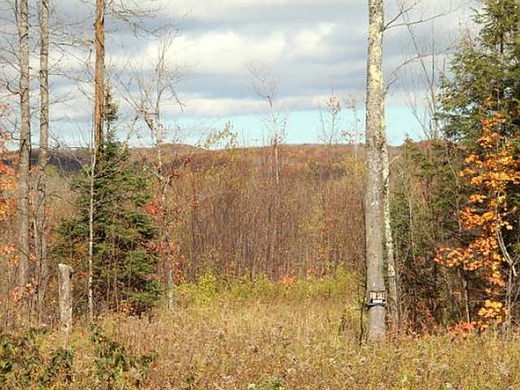 3rd image of 40 Acres Hwy #77