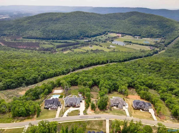 41 Watson Grande Way SE, Owens Cross Roads, AL 35763