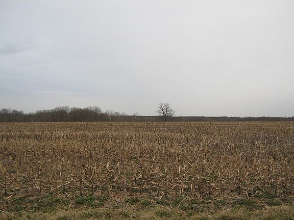 5th image of 16773 N Campground Ln