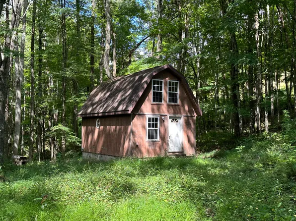 595 Harness Rd, Fenwick, WV 26202