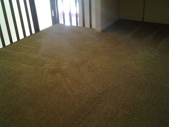 5th image of 835 Main St S APT A204