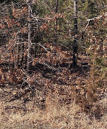 4th image of 922 W Lakeshore Dr