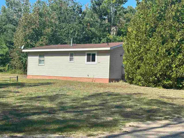 8849 Blumke Rd, Alanson, MI 49706