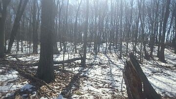 2nd image of Neuman Rd