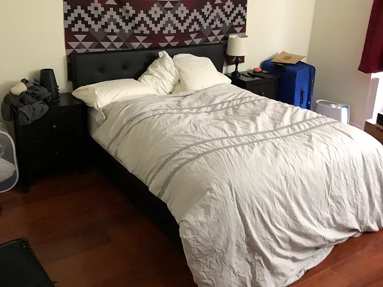 1804 Green St #303 — Photo 8