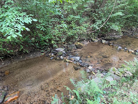2nd image of 1921 Longbottom Rd