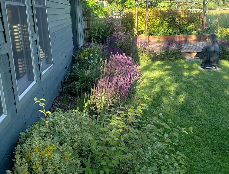 Mature lush landscaping
