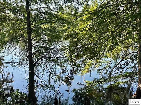 4th image of 7286 Bayou Dr
