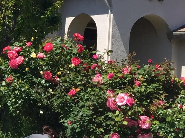 4648 Teal Bay Ct, Antelope, CA 95843