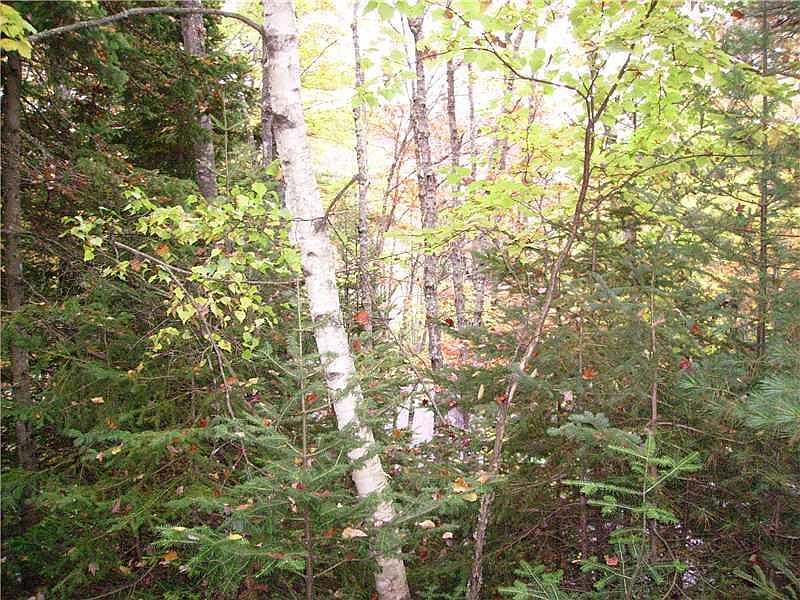 1st image of 28 A & B Rocky Lane