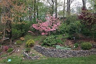 Landscaped backyard Spring