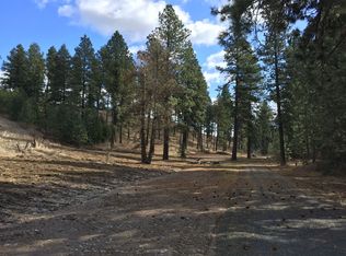 1060 Drifting Snow Ln, Troy, ID 83871