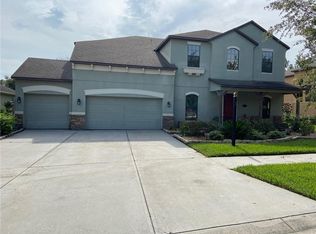 19205 Climbing Aster Dr, Tampa, FL 33647