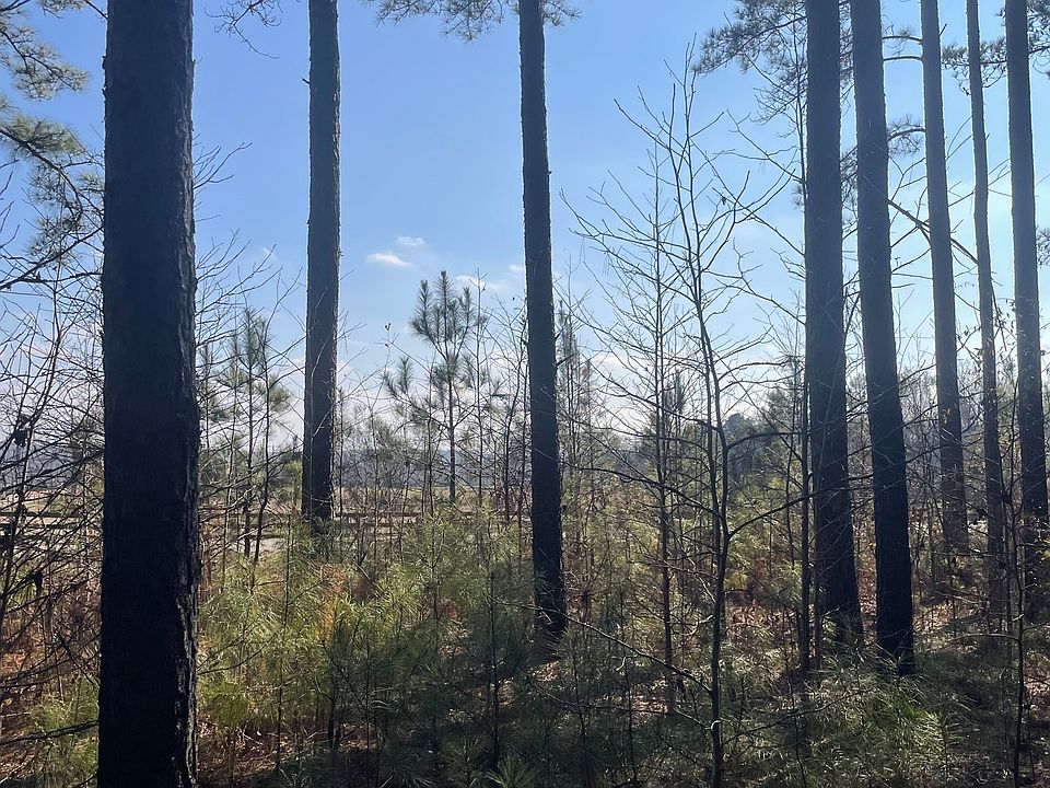 1st image of 0 Hebron Church Rd #1