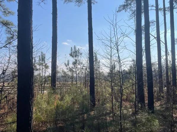 0 Hebron Church Rd #1, Thomaston, GA 30286