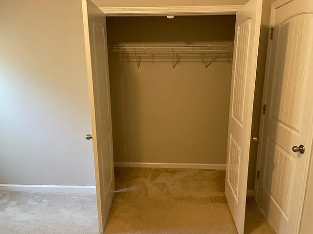 Level 1 guest bedroom closet