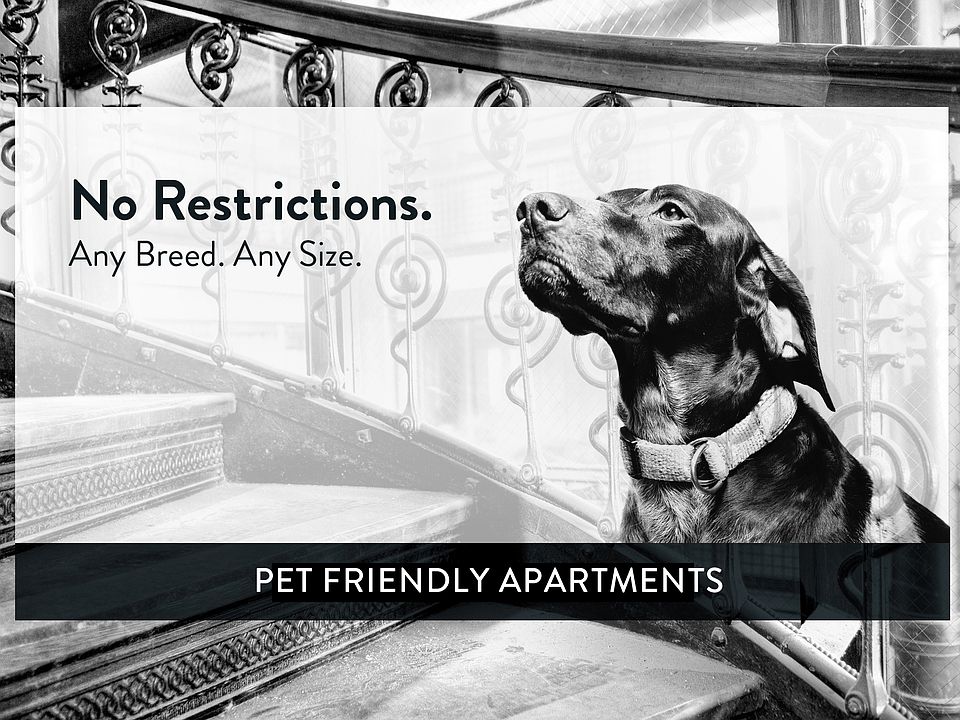 Pet Friendly, No Restrictions!