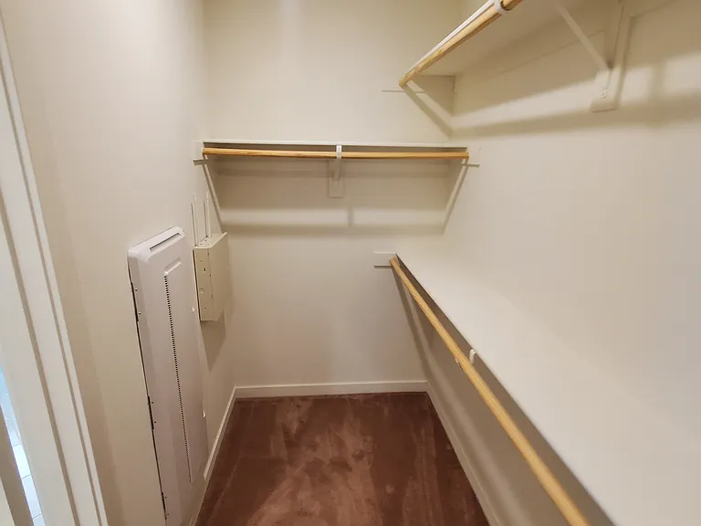 Master walk-in closet