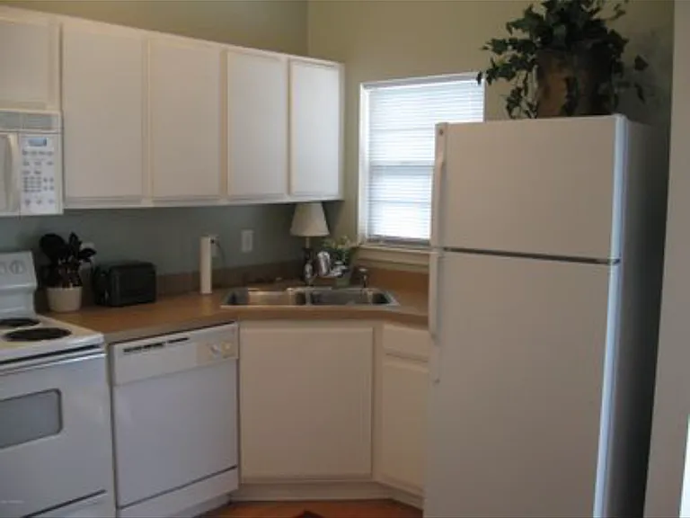 3938 Spicetree Dr — Photo 3