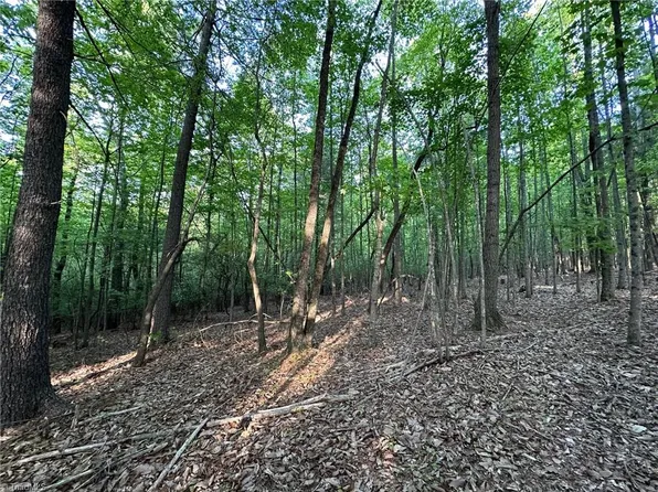 0 Wiley Royal Rd, Traphill, NC 28685