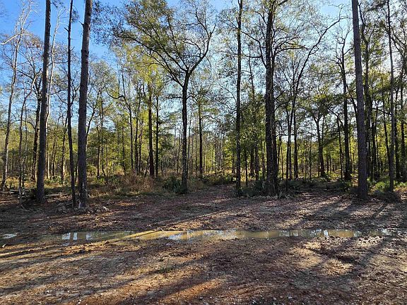 3rd image of 6 Livingston Parish