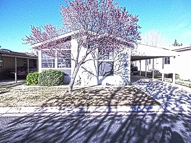 1st image of 2115 Bordeaux St