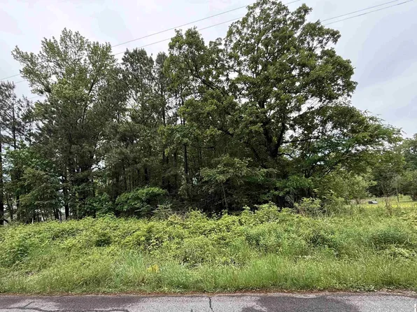 694 Green Plain Rd, Hazel, KY 42049