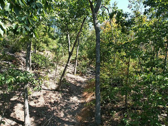 4th image of 0 Evans Sisters Rd