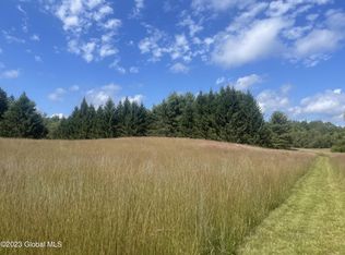 40 Ormsbee Rd, Porter Corners, NY 12859