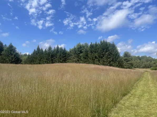 40 Ormsbee Road, Porter Corners, NY 12859