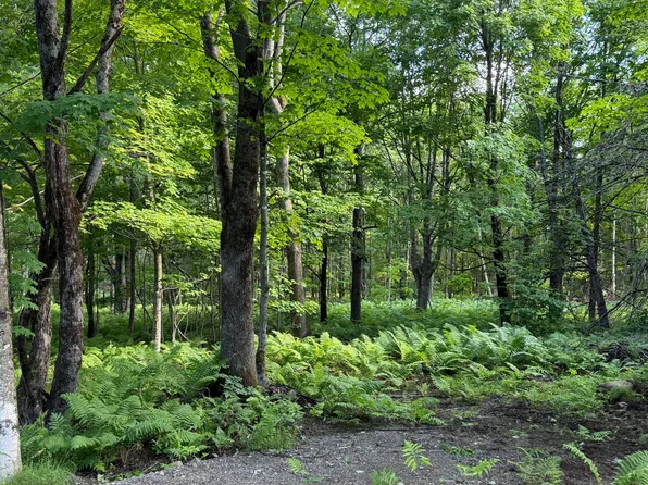 47 Greenville Road Lot 3, Shirley, ME 04485