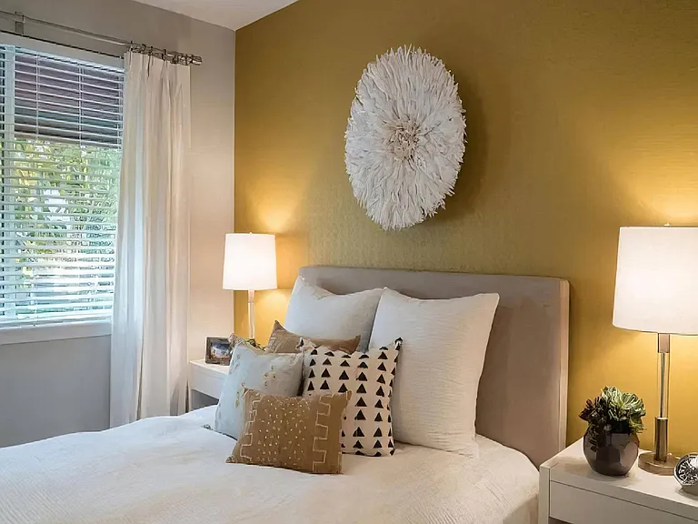 Oversized Bedroom with Accent Wall and Natural Light