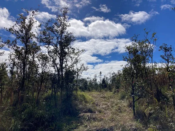 OMEKA RD, Volcano, HI 96785