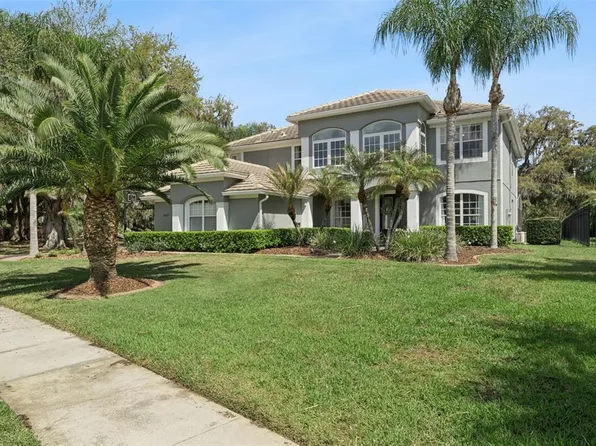 10033 Wittenberg Way, Orlando, FL 32832