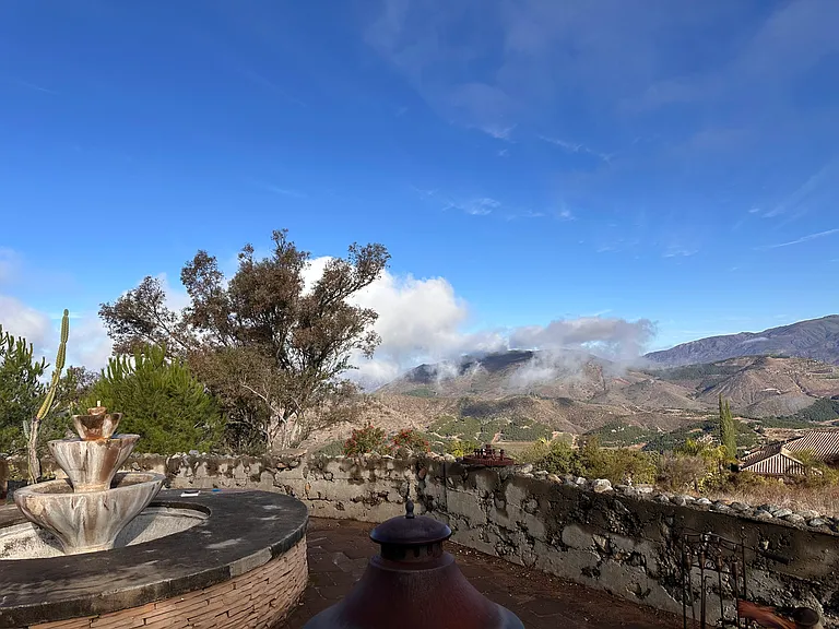 14020 Pauma Vista Dr — Photo 19