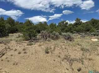 Martingale Ln, Tierra Amarilla, NM 87575
