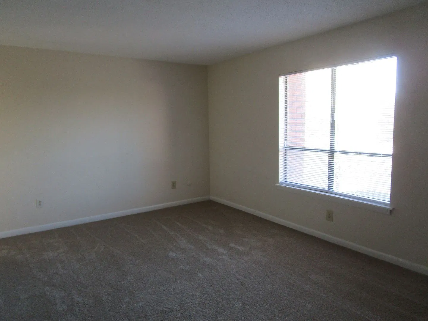 Willow Run - 251 Rast Street — Photo 4