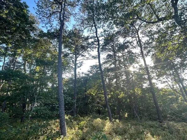 30 Sam Hollow Rd, Wellfleet, MA 02667