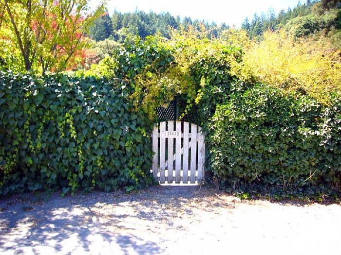 Front Gate w/ Arbor