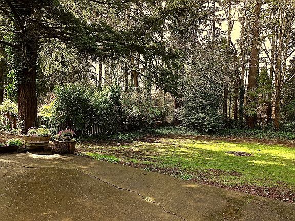 Large private backyard