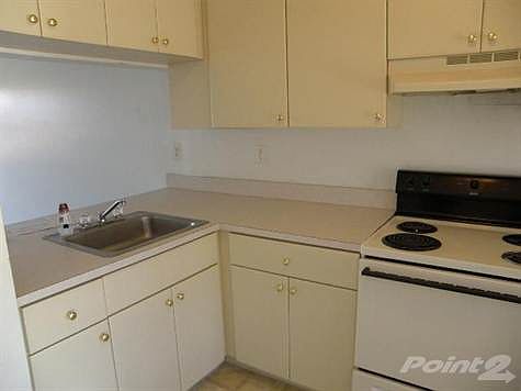 5th image of 4932 Paulie Ct APT 50