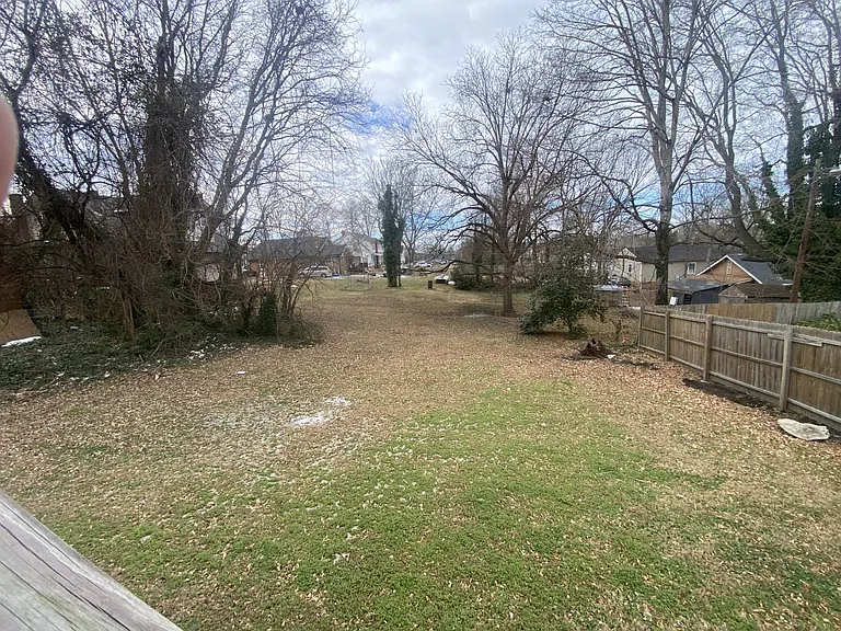back yard