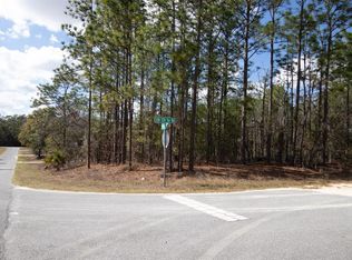 6200 SW 128th Terrace Rd, Ocala, FL 34481