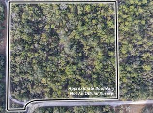 123 105th Rd, Mc Alpin, FL 32062