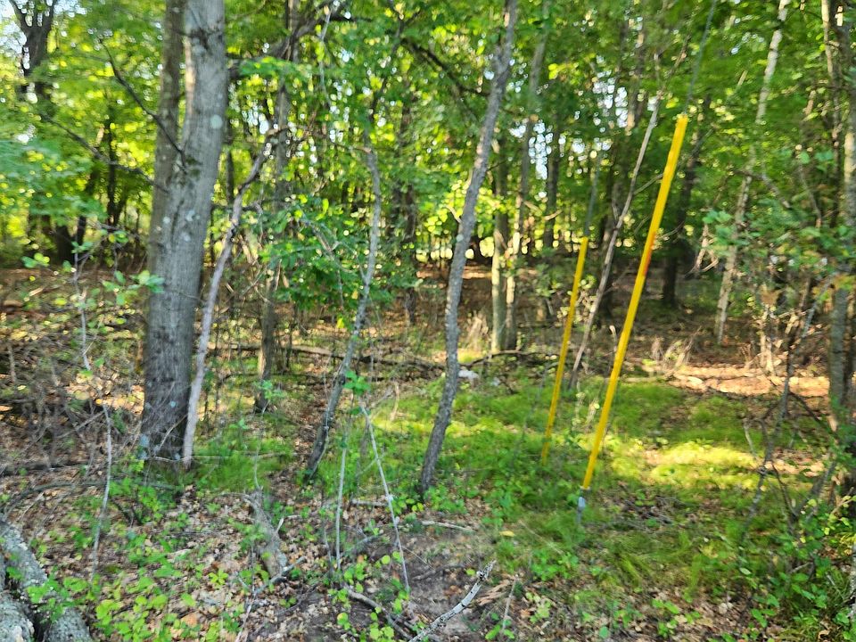 2nd image of 241st Ln NE